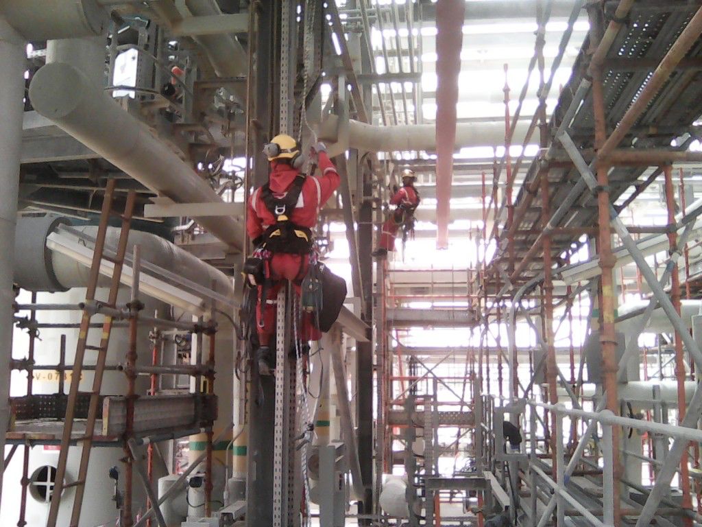 Inspection & Verification